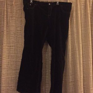 velvet low waist bootcut pants 🍁3/25🍁